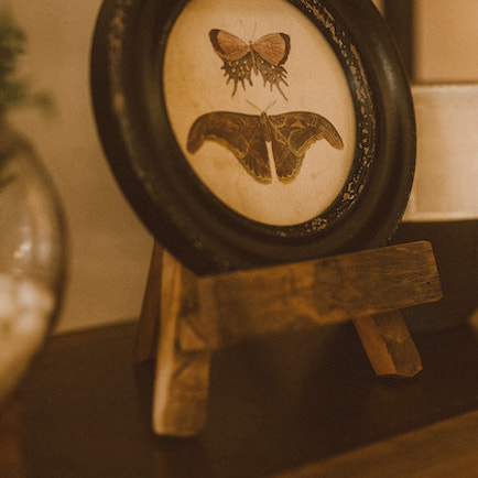 Small Easel made from reclaimed wood on shelf displaying butterfly pattern plate