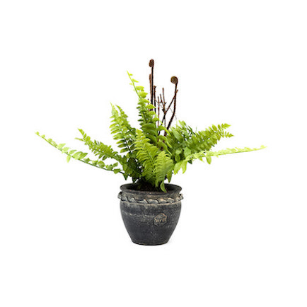 Miniature, artisan, planter with dark glaze pottery with Boston fern