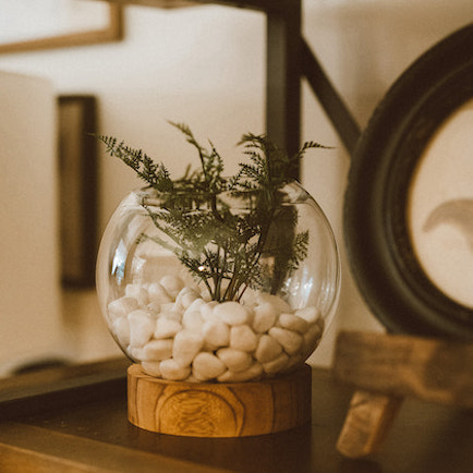 Glass terrarium with wood base on shelf with decorative pebbles and small plant